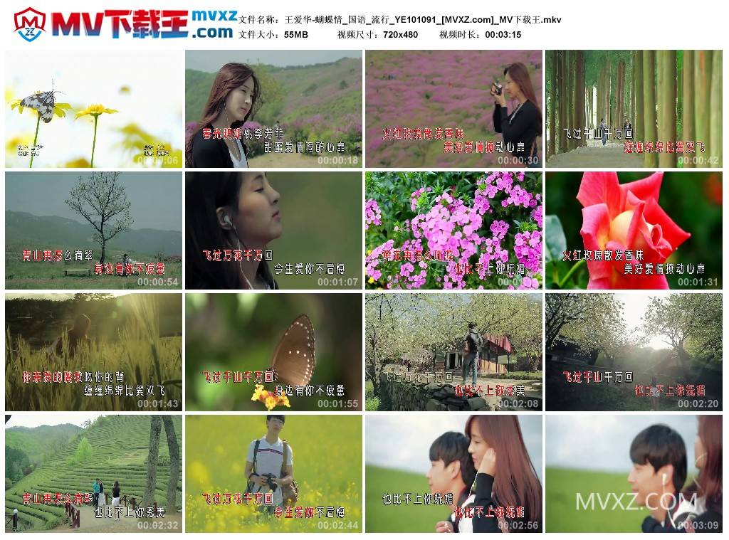 王爱华-蝴蝶情_国语_流行_YE101091